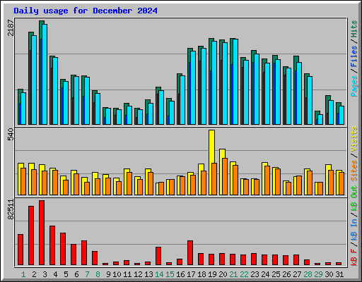 Daily usage for December 2024