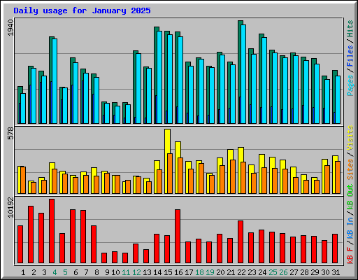 Daily usage for January 2025