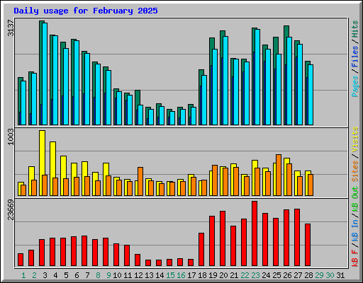 Daily usage for February 2025