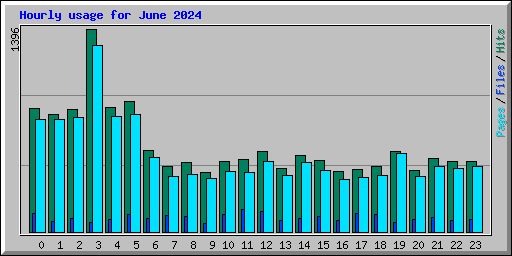 Hourly usage for June 2024