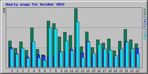 Hourly usage for October 2024