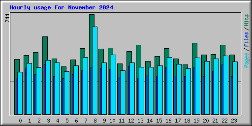 Hourly usage for November 2024