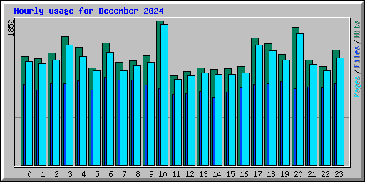 Hourly usage for December 2024