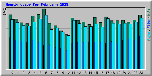 Hourly usage for February 2025