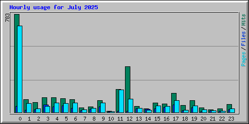 Hourly usage for July 2025
