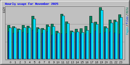 Hourly usage for November 2025