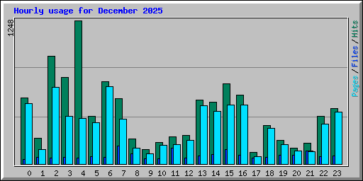 Hourly usage for December 2025
