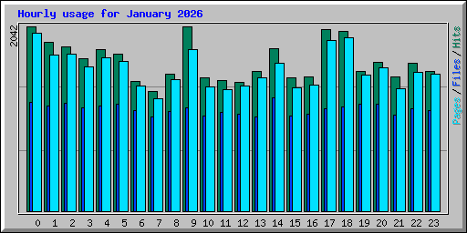Hourly usage for January 2026