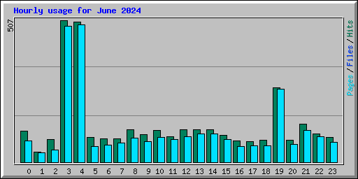 Hourly usage for June 2024