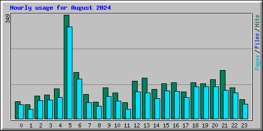 Hourly usage for August 2024