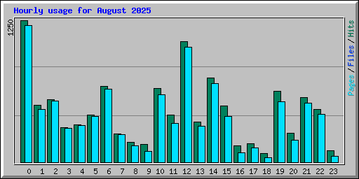 Hourly usage for August 2025