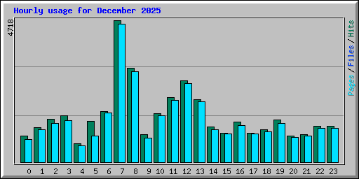 Hourly usage for December 2025