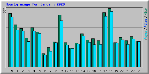 Hourly usage for January 2026