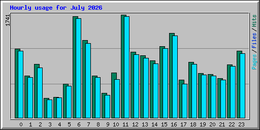 Hourly usage for July 2026
