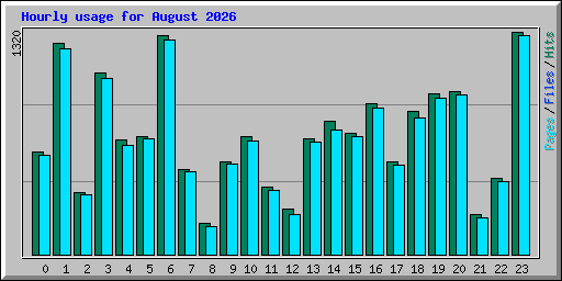 Hourly usage for August 2026